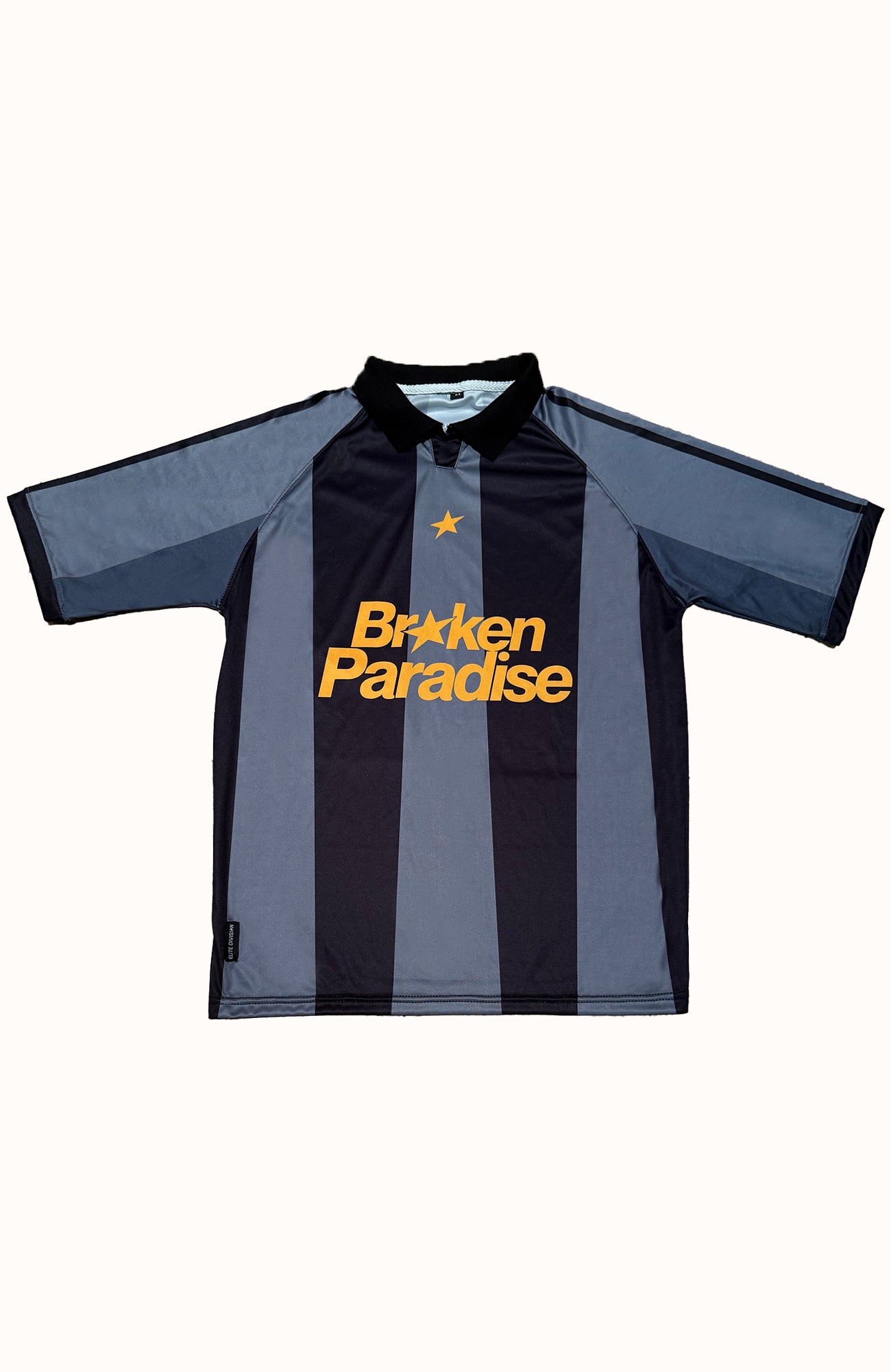 PANTHER DIVISION