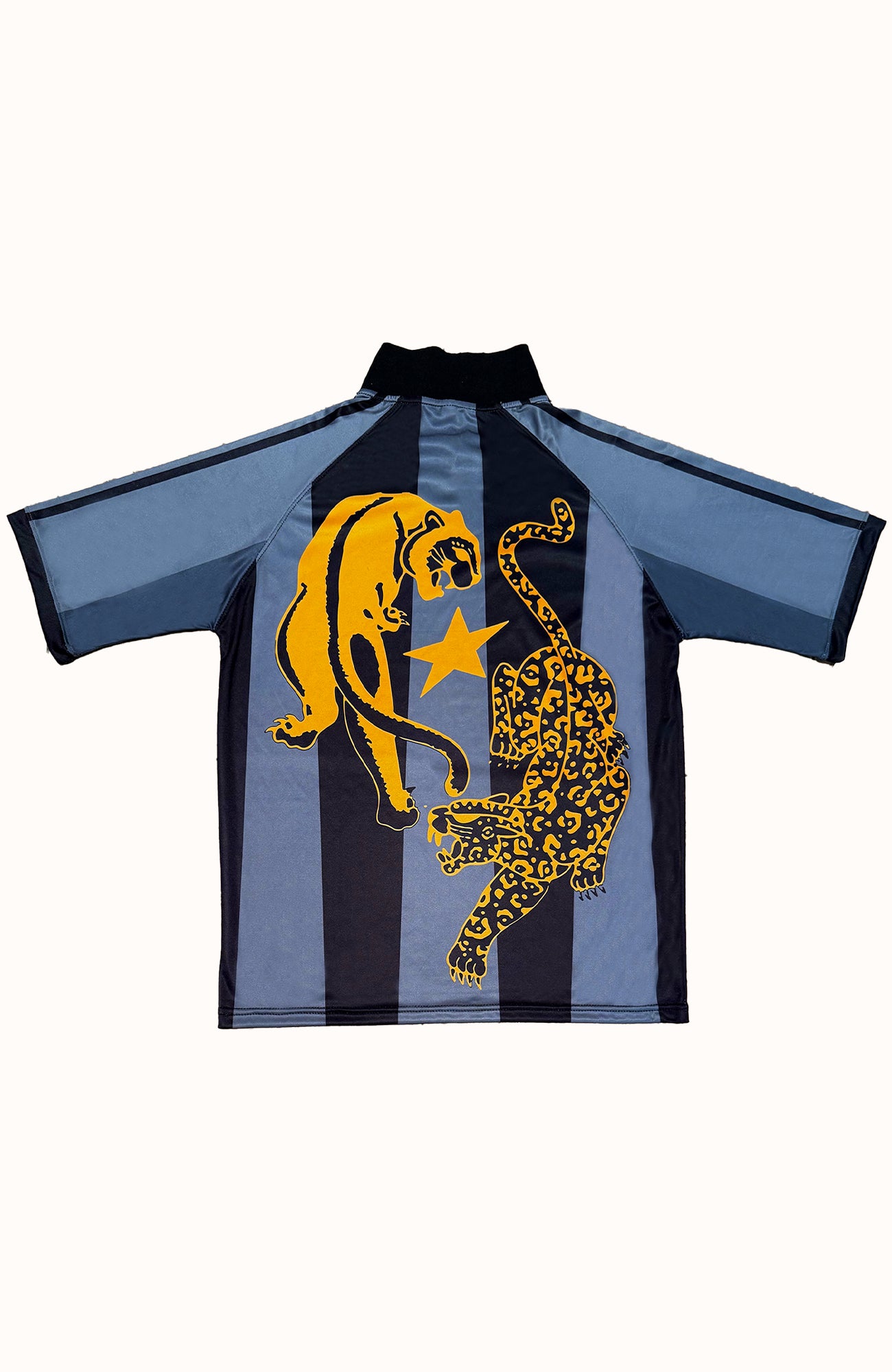 PANTHER DIVISION